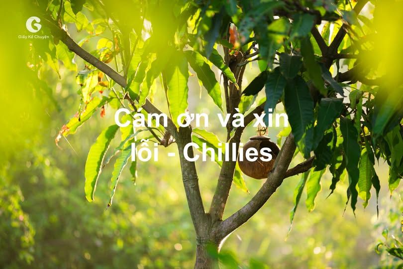 Sống làm sao đừng để lời cảm ơn và xin lỗi trở nên muộn màng