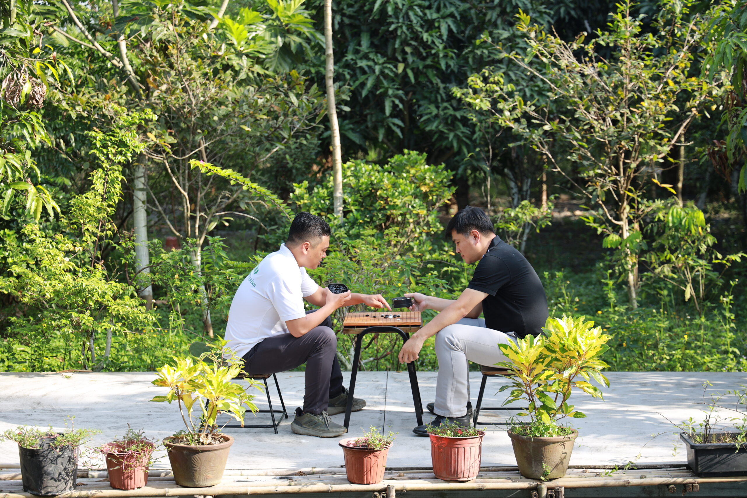 Vật cùng tất biến